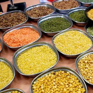 Pulses From Organic Farm